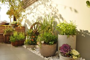 quintal pequeno com vasos de plantas