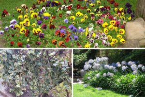 sugestões de plantas para jardim