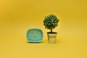 Relógio ao lado de planta artificial (Foto: Pexels)