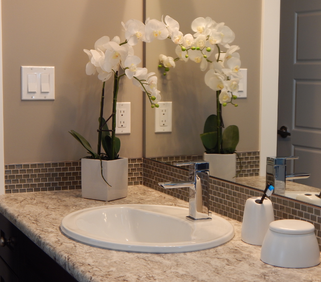 Plantas no banheiro pequeno