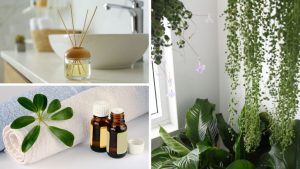 Adeus ao banheiro sem cheiro: 5 dicas infalíveis para mantê-lo perfumado todos os dias