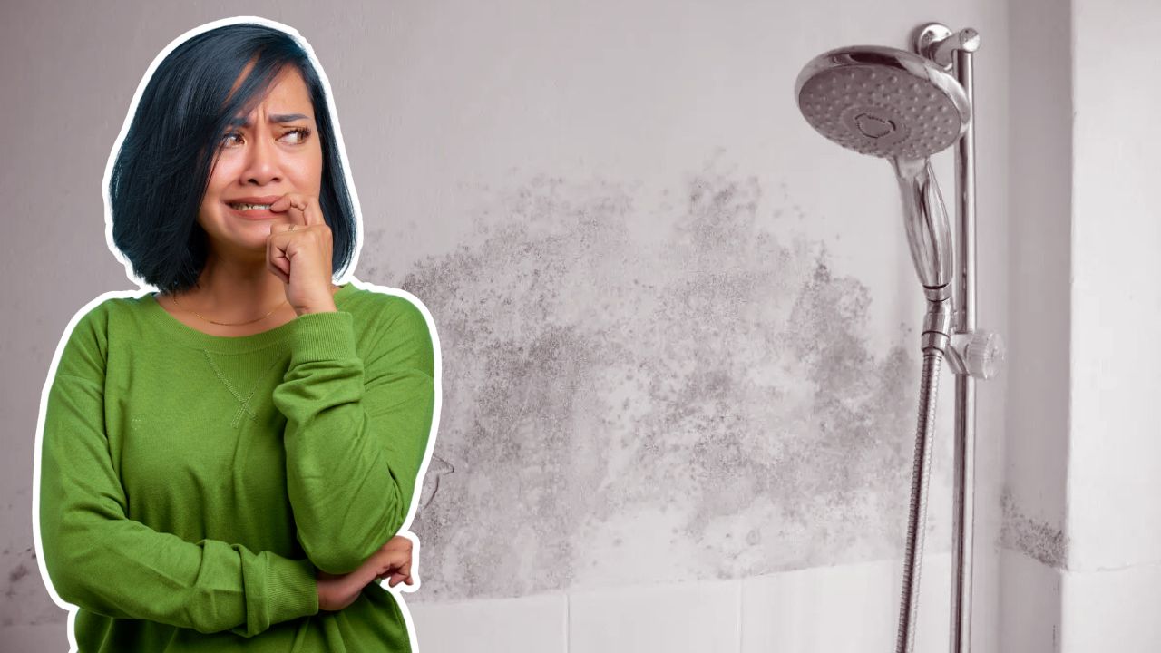 Incrível Como Funciona: A Técnica Que Elimina o Mofo do Banheiro e Ainda Previne a Volta