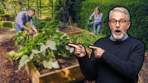 Livre-se dos Problemas de Solo Canteiros Elevados como Solução Incrível para sua Horta