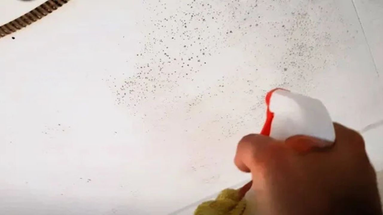 técnica para eliminar mofo do banheiro