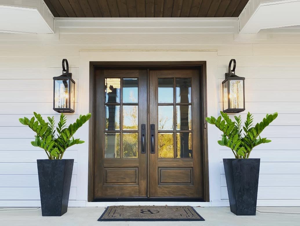 vasos de zamioculca pelo lado de fora da entrada da casa