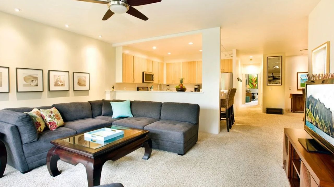 espaço de casa com carpete de parede a parede