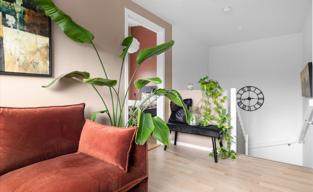 Sala de estar com plantas itens básicos